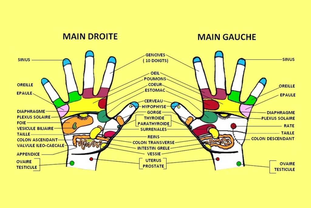 mains reflexologie