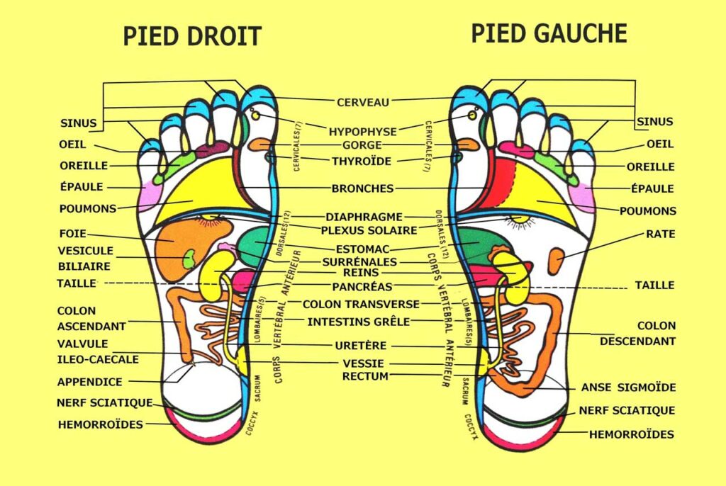 réflexologie pieds