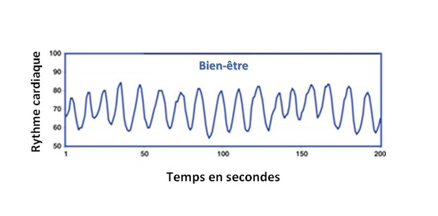 cohérence cardiaque
